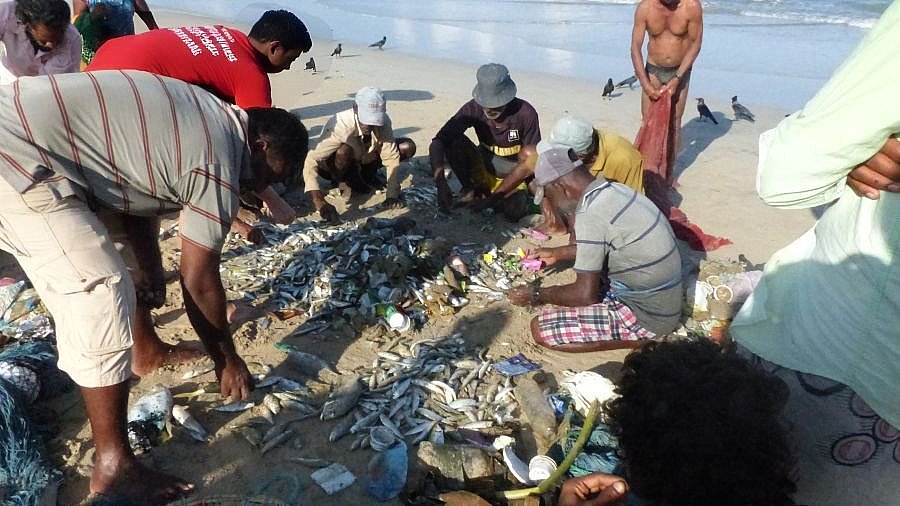 Fischer beim Müllsortieren - Sri Lanka - Blog