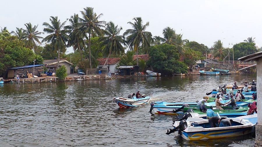 Lagune von Negombo - Sri Lanka - Land und Leute