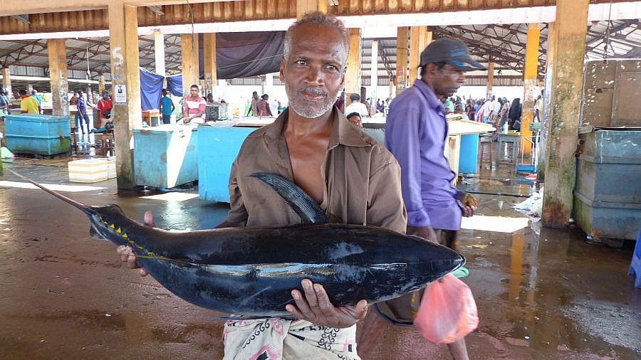 Fischverkäufer - Sri Lanka - Land und Leute
