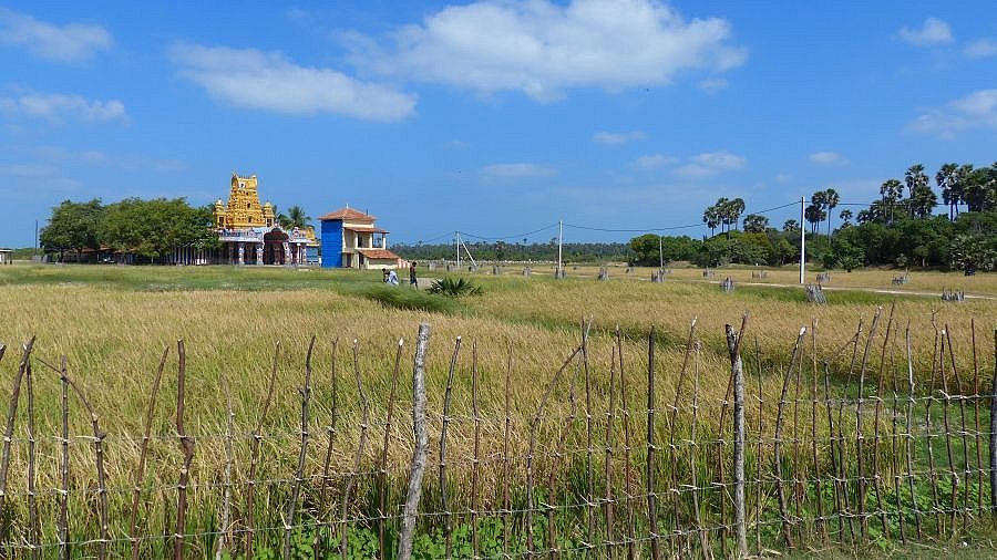 Kleiner bunter Tempel - Sri Lanka - Land und Leute