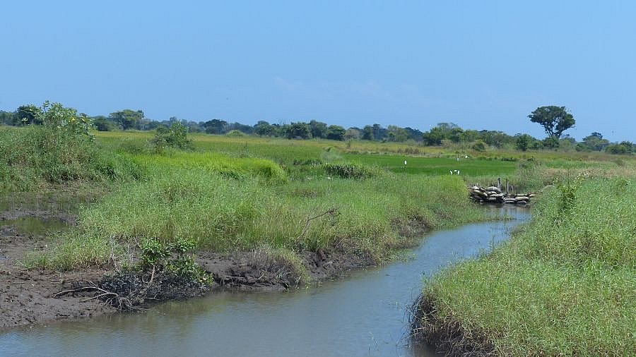 Ostküsten-Landschaft - Sri Lanka - Landschaft