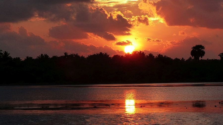 Irrakkakandi-Lagune zum Sonnenaufgang - Sri Lanka - Landschaft