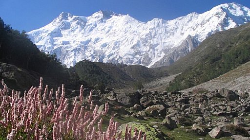 Blick auf den Nanga Parbat - Nord-Pakistan: Landschaft