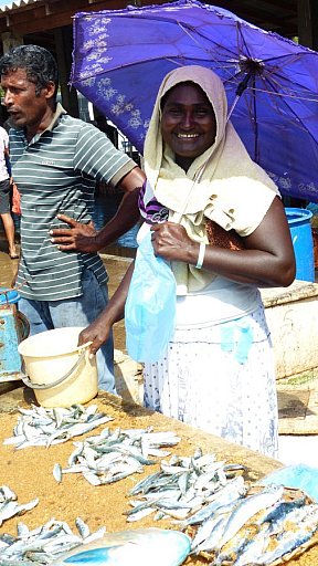 Fischverkäuferin - Sri Lanka - Land und Leute