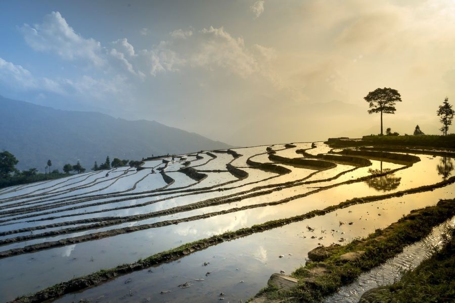 Asien Info Klima Ostasien Reisfelder 900x600